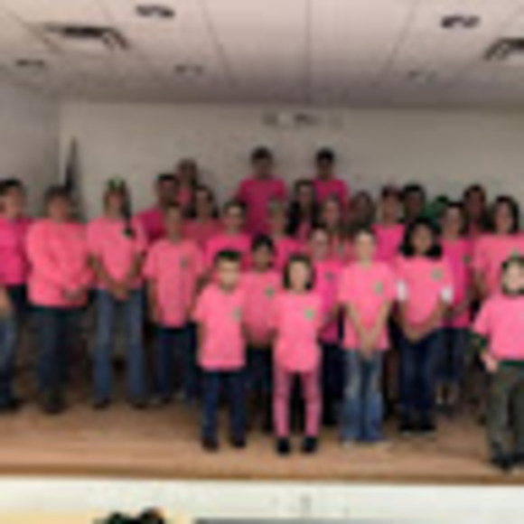 dbaucom4h